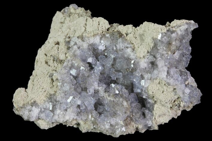 Purple/Gray Fluorite Cluster - Marblehead Quarry, Ohio #81195